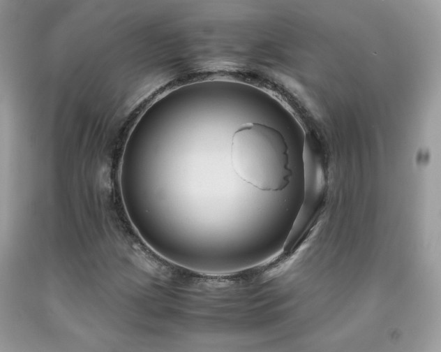 X0000091981209200709061347