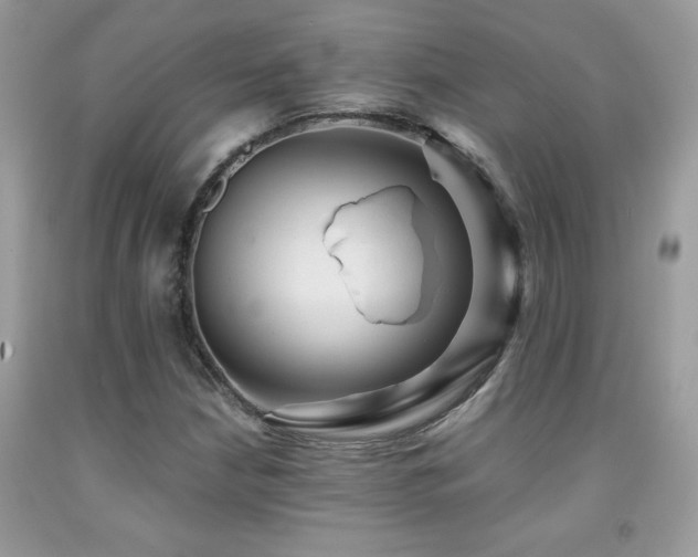 X0000091981210200709061347
