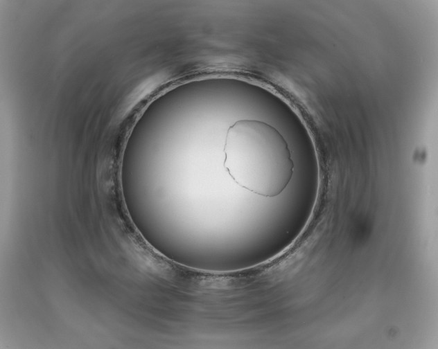 X0000091981211200709061347