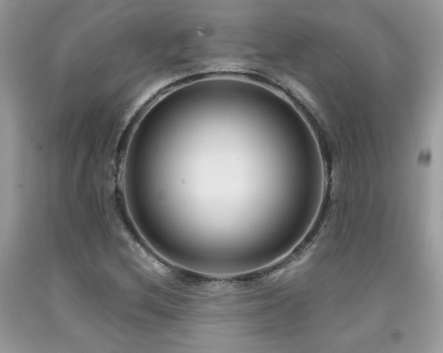 X0000091981212200709061347