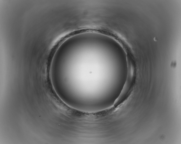 X0000091981214200709061347