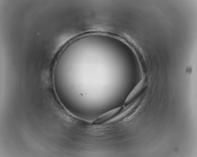 X0000091981215200709061347