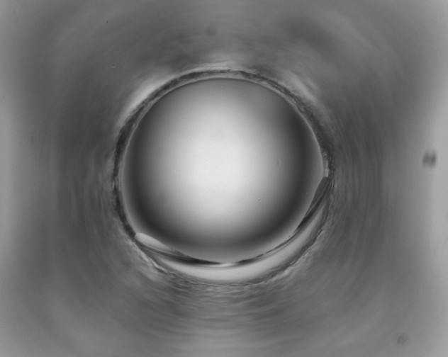 X0000091981216200709061347