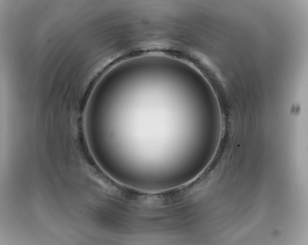 X0000091981217200709061347