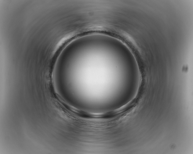 X0000091981218200709061347