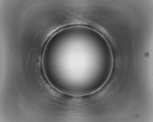 X0000091981220200709061347