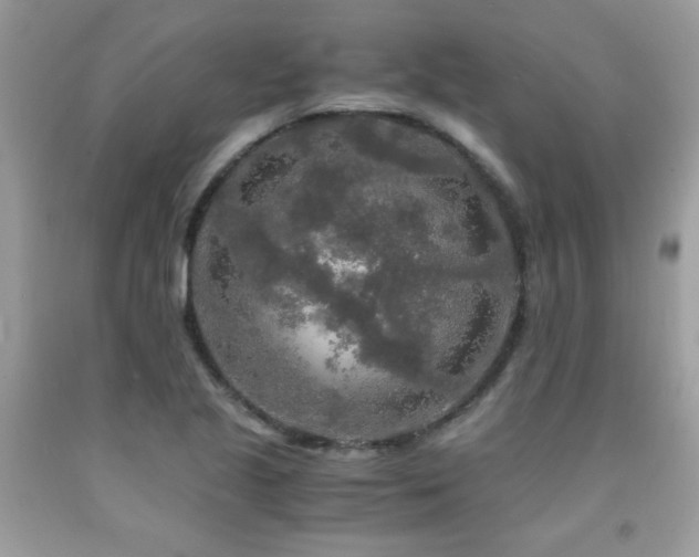 X0000091981221200709061347