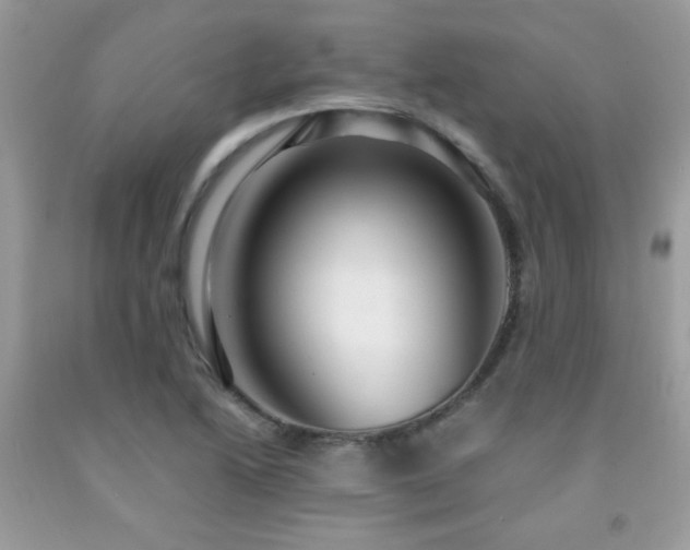 X0000091981222200709061347