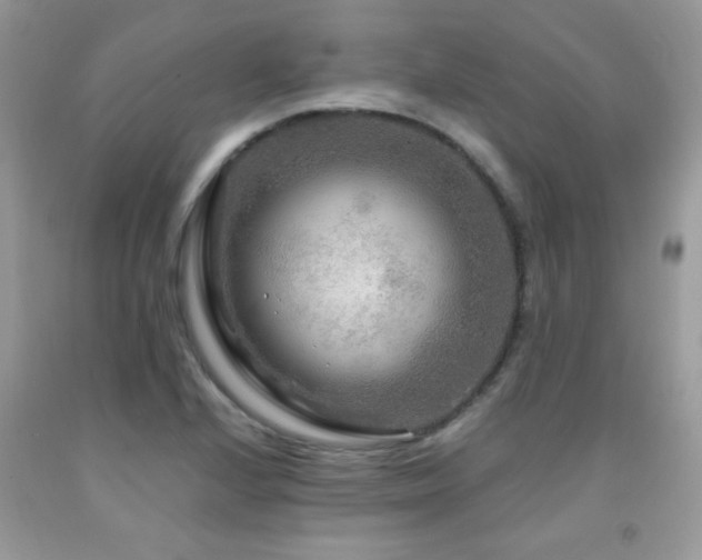 X0000091981224200709061347