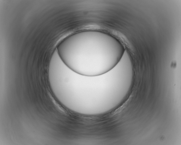 X0000091981225200709061347