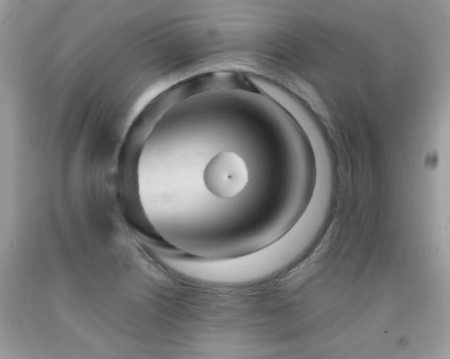 X0000091981226200709061347