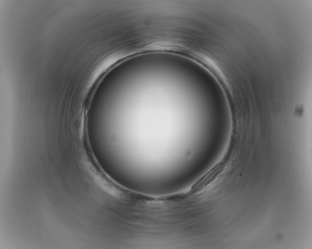 X0000091981227200709061347