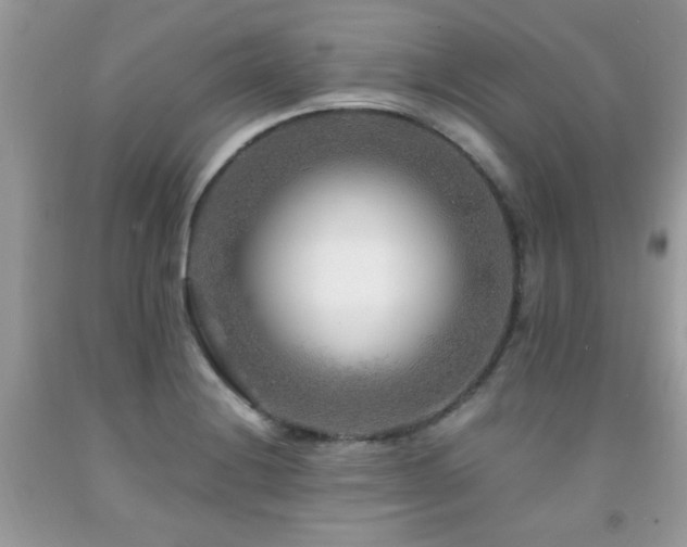 X0000091981228200709061347