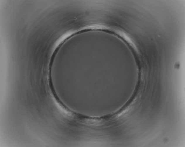 X0000091981229200709061347