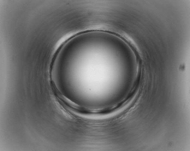 X0000091981230200709061347