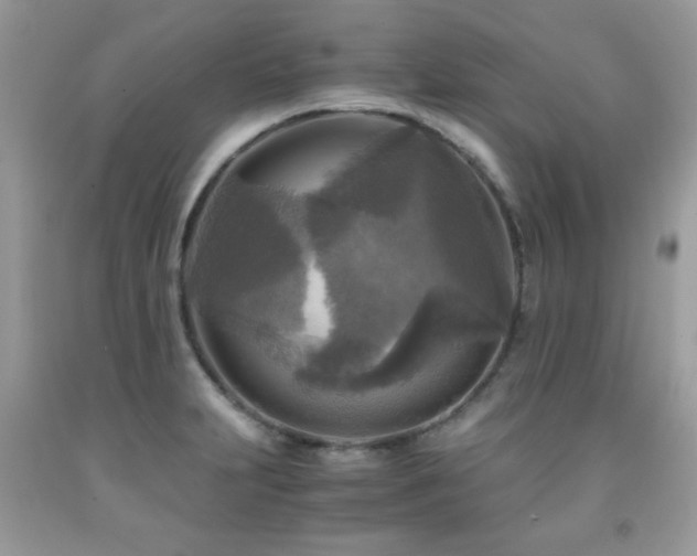 X0000091981231200709061347