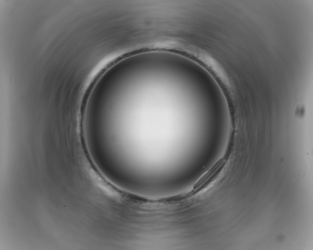 X0000091981232200709061347