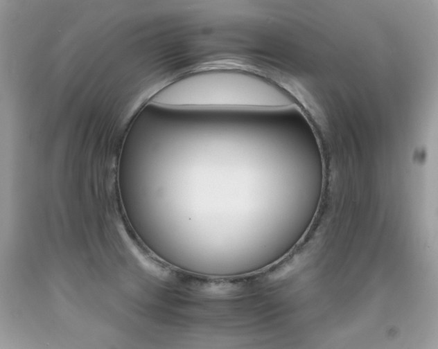 X0000091981233200709061347