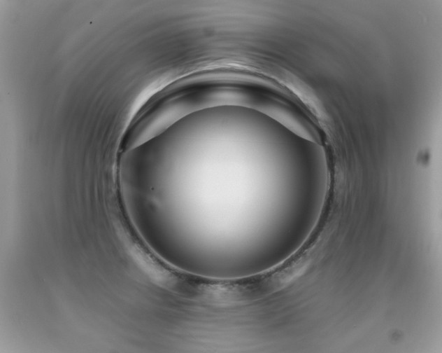 X0000091981234200709061347