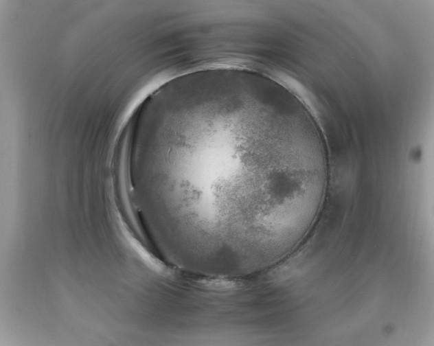 X0000091981235200709061347
