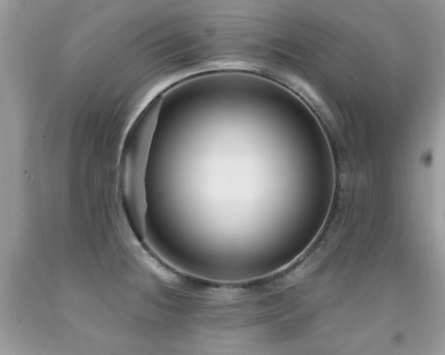 X0000091981236200709061347