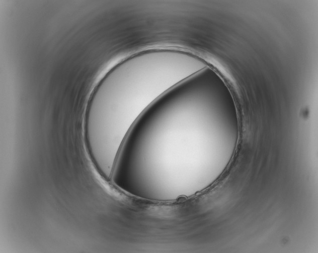 X0000091981237200709061347