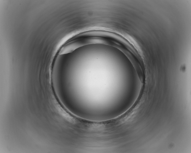 X0000091981238200709061347