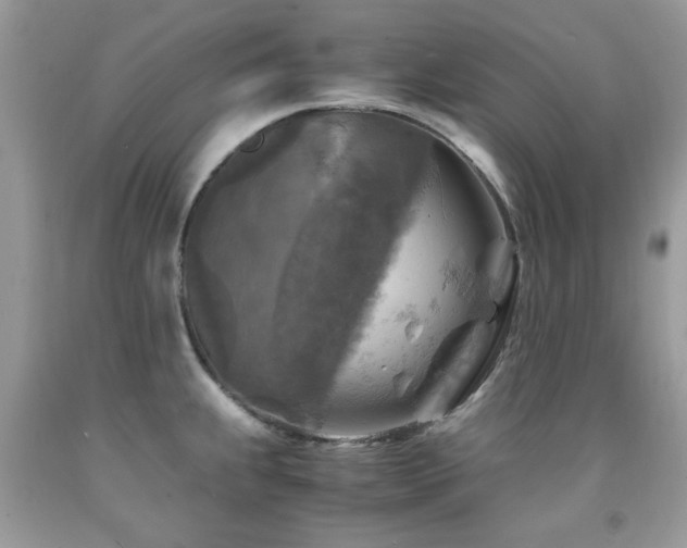 X0000091981239200709061347
