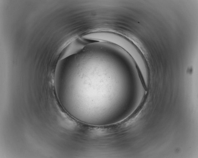 X0000091981241200709061347