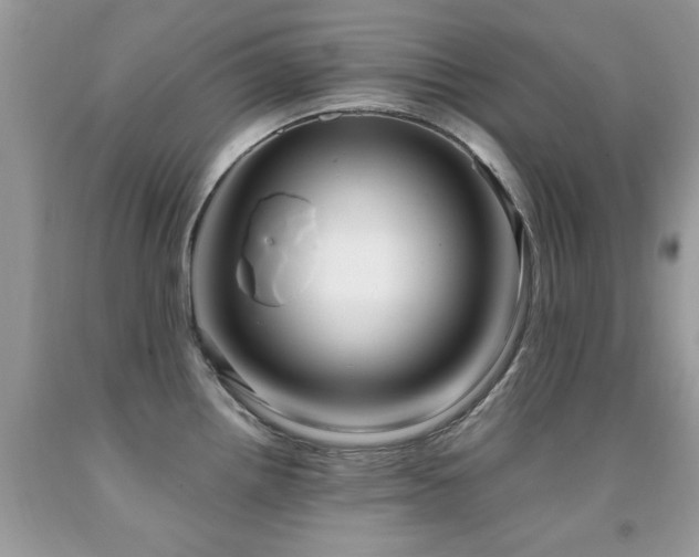 X0000091981242200709061347