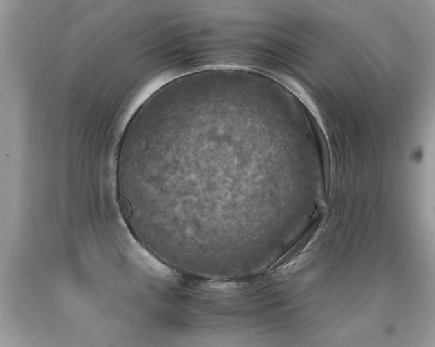 X0000091981243200709061347