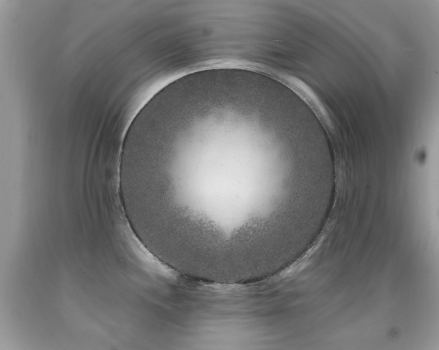 X0000091981244200709061347
