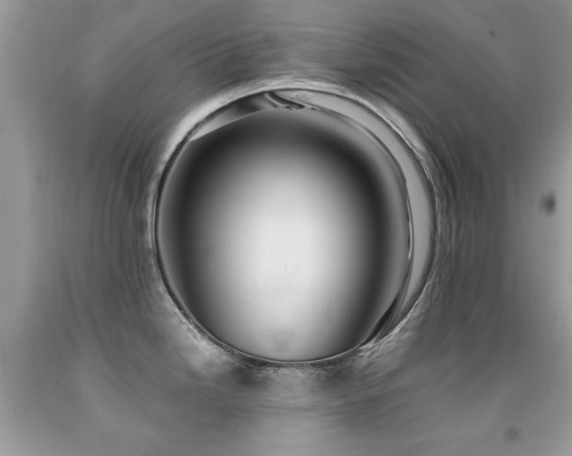 X0000091981246200709061347
