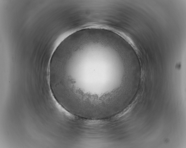 X0000091981247200709061347