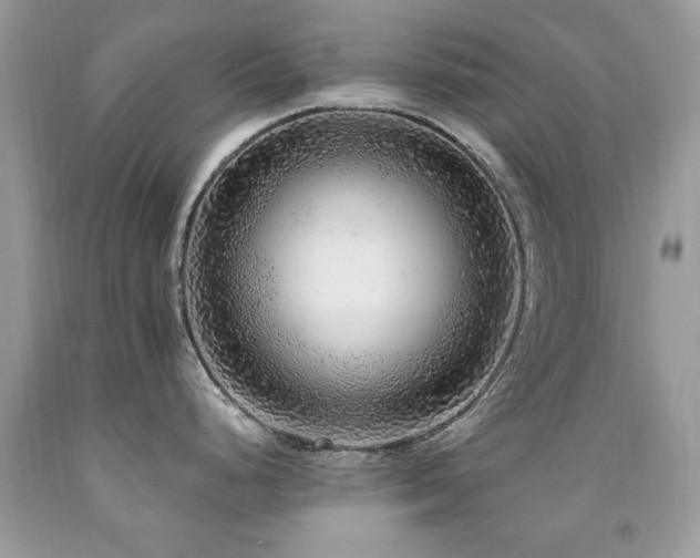 X0000091981248200709061347