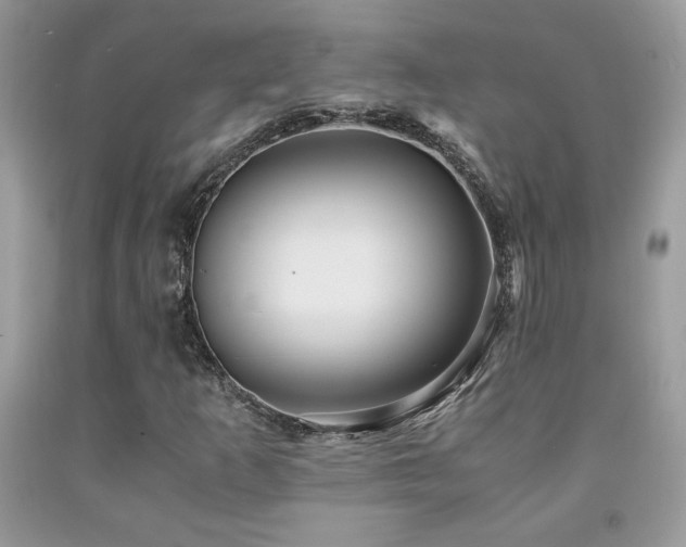 X0000091981253200709061346