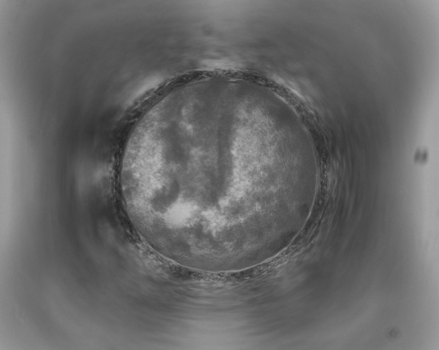 X0000091981254200709061346