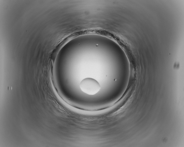 X0000091981257200709061346