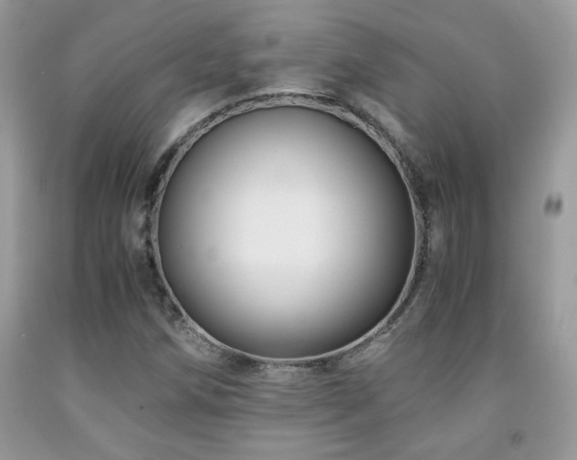 X0000091981258200709061346