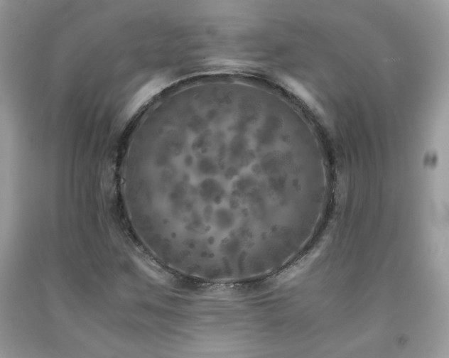X0000091981259200709061346