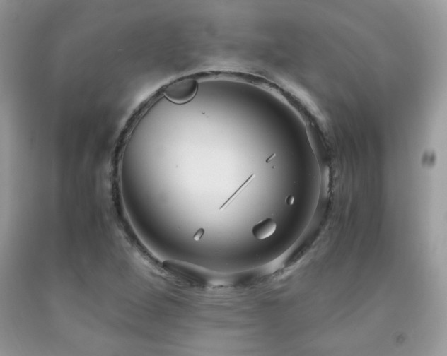 X0000091981264200709061346