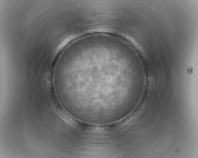X0000091981266200709061346