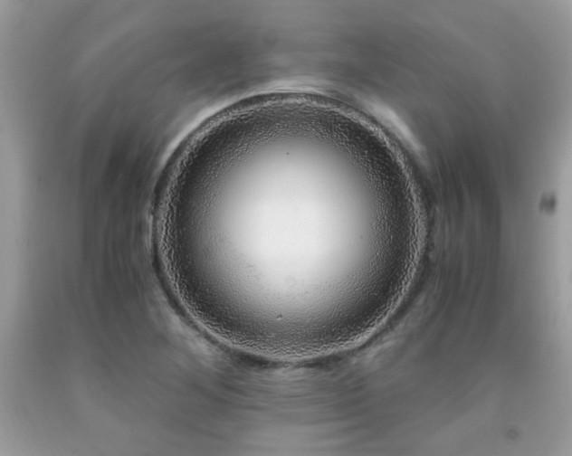 X0000091981268200709061346