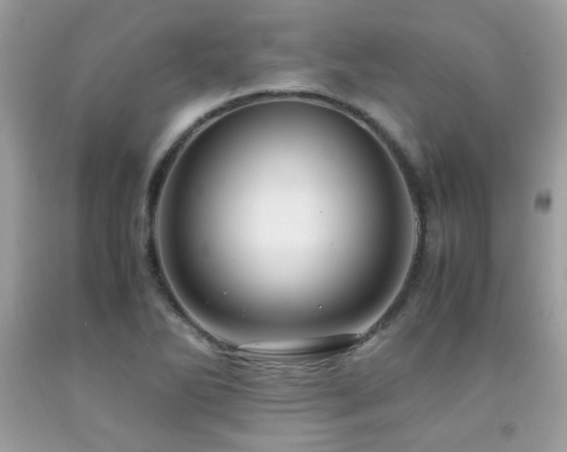 X0000091981270200709061346