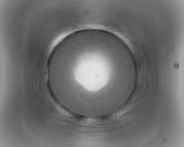 X0000091981271200709061346