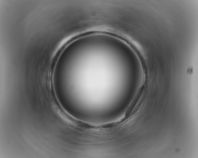X0000091981272200709061346