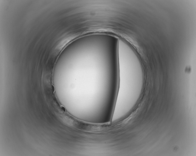 X0000091981273200709061346