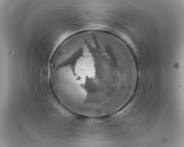 X0000091981275200709061346
