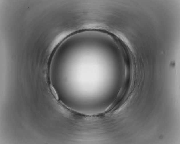 X0000091981277200709061346