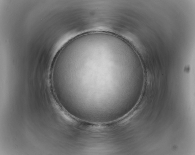 X0000091981278200709061346